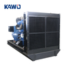 Anti - Corrosion 10 - 5000kW Silent Diesel Generators From KAWO for Coastal Projects