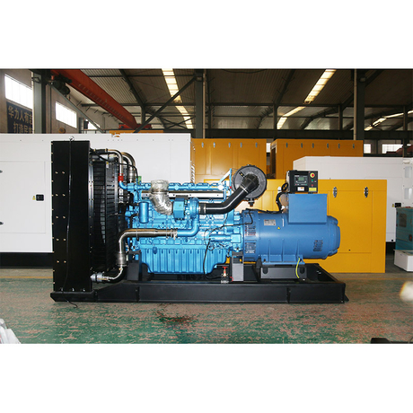 潍柴600kw 3.jpg